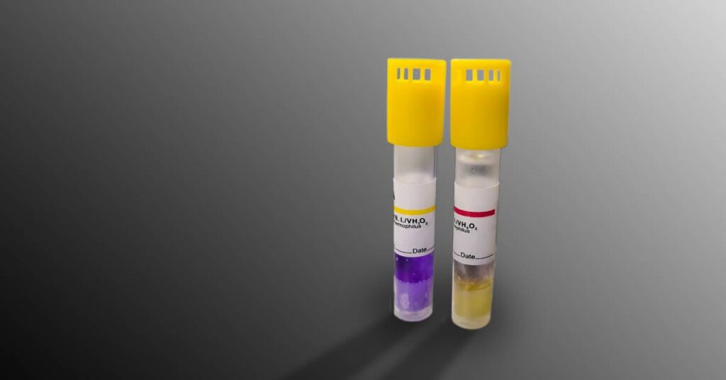 Two biological indicator vials standing on a gray surface. One holds a purple liquid while the other holds a yellow liquid.